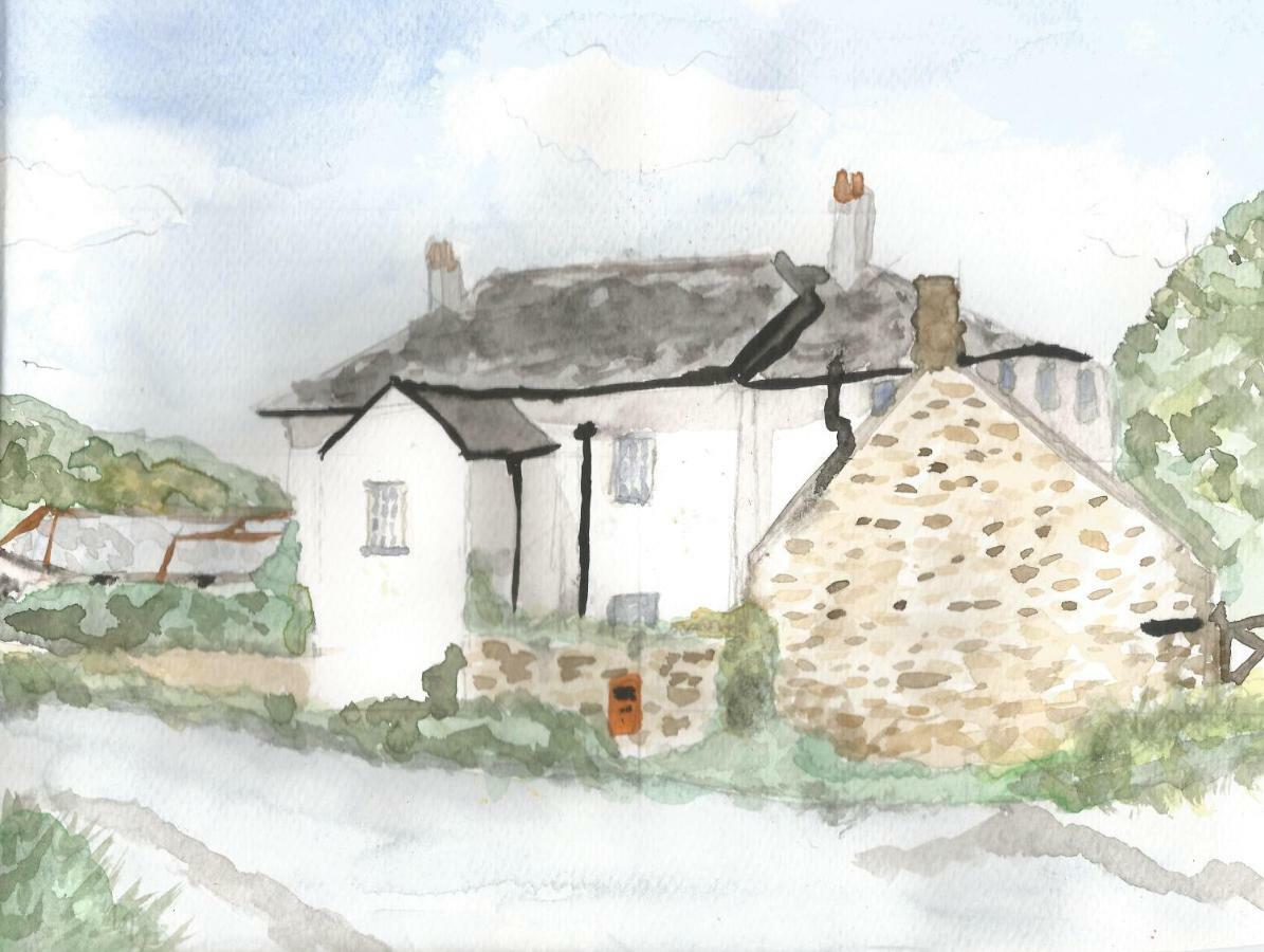 Boots Cottage Bude Exterior foto
